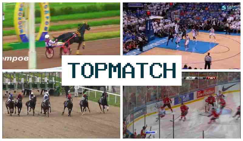 TOP MAFCH 🔵 Букмекерская компания онлайн, бонус, официальный сайт букмекера